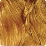 رنگ موی بیول - بلوند عسلی متوسط - 7.34