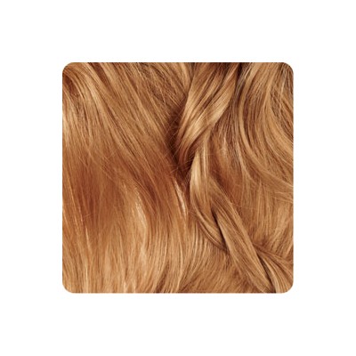 رنگ موی آرکانوم- بلوند شکلاتی روشن - 8.8