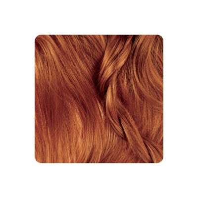 رنگ موی بیول – بلوند شکلات پرتغالی تیره - 6.84 