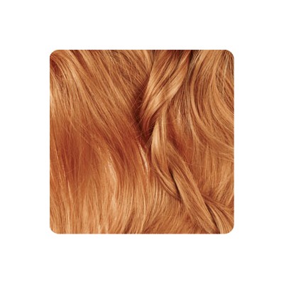 رنگ موی آرکانوم – بلوند شکلات پرتغالی روشن - 8.84 