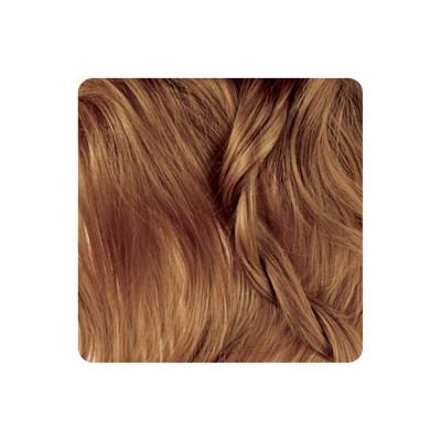 رنگ موی آرکانوم- بلوند نسکافه ای تیره - 6.18