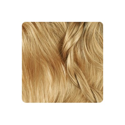 رنگ موی آرکانوم– بلوند بیسکوییتی روشن - 8.39 